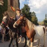 2018_carro-184